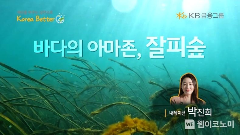 ‘바다의 아마존, 잘피숲’ 영상 썸네일 2023.09.15 (출처 : KB금융그룹)