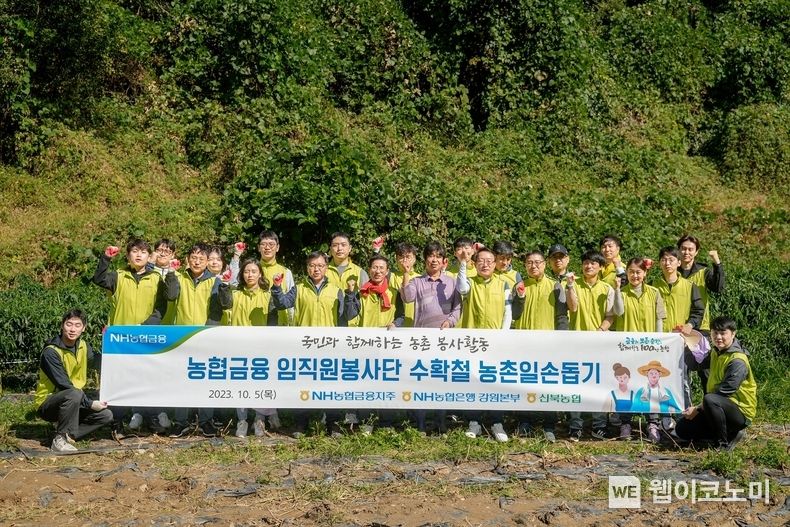 NH농협금융지주 임직원봉사단은 5일, 강원 춘천 북산면에서 농협은행 강원본부, 신북농협 임직원 등 약 50여명이 함께 수확철 농촌 일손돕기를 실시했다. 김익수 농협금융지주 부사장(앞줄 왼쪽 여섯번째)과 임직원들이 기념촬영을 하고 있다. 2023.10.05. (출처: NH농협금융지주)