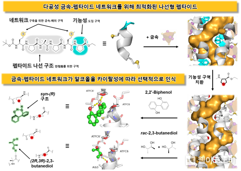 카이랄성 알코올 화합물을 선택적으로 인식하는 펩타이드 기반 기능성 소재 개발 모식도. 2023.10.19. (출처: KAIST)