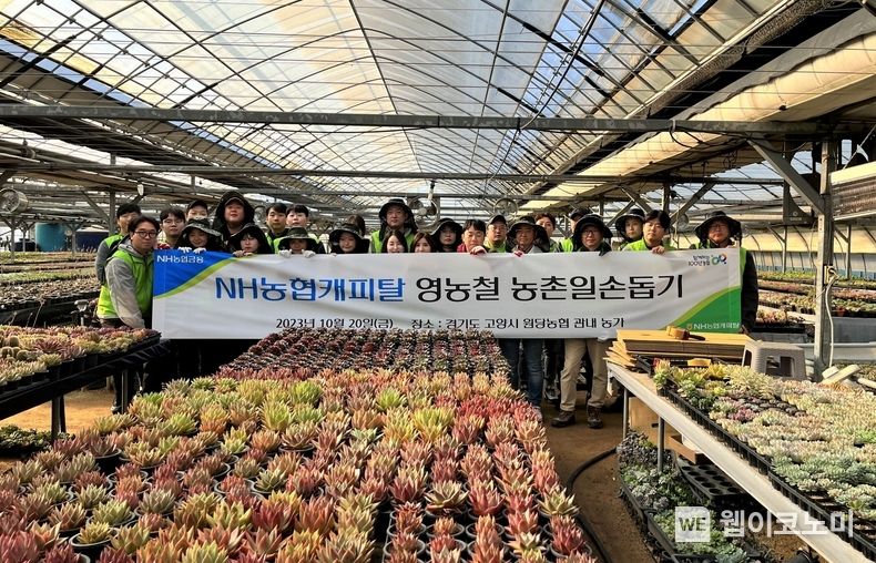 NH농협캐피탈은 20일, 경기도 고양시 원당동 소재 화훼 농가를 방문, 농가 일손돕기 및 농가주변 환경정화를 위한 플로깅을 실시했다. 은길수 NH농협캐피탈 부사장(앞줄 오른쪽에서 세 번째)과 직원들이 기념촬영을 하고 있다. 2023.10.22 (출처: NH농협금융지주) 