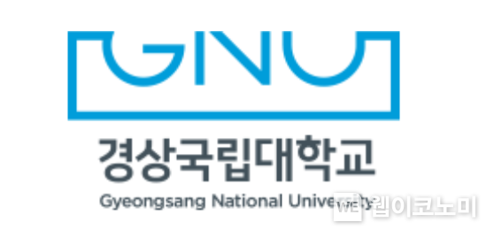 경상국립대 CI