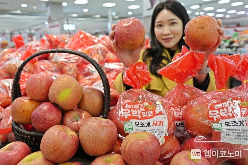  서울시 중구에 위치한 롯데마트 제타플렉스 서울역점에서 우박 맞은 보조개 사과를 홍보하는 모델의 모습 2023.11.09. (출처: 롯데쇼핑)