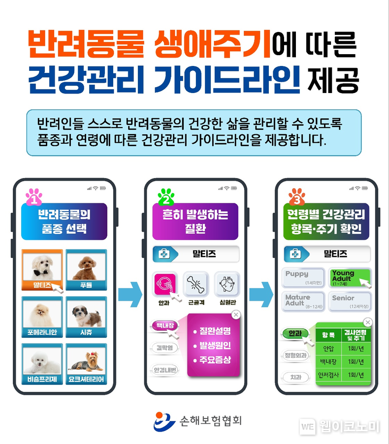 반려동물 생애주기에 따른 건강관리 가이드라인 제공. 2023.11.15. (출처: 손해보험협회)