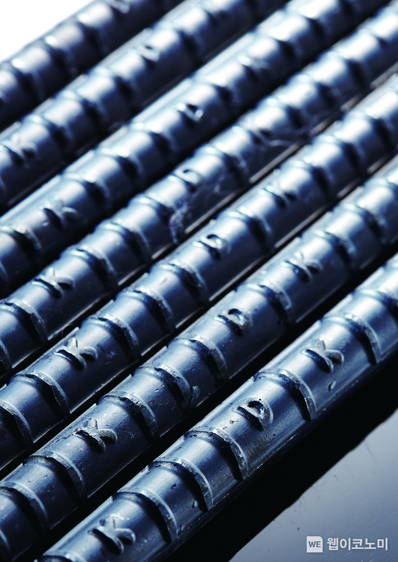 동국제강 극저온철근(DK-CryoFlex Bar) 제품 사진 / 2023.12.12 (출처: 동국제강)