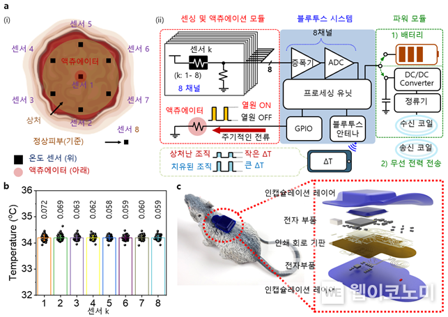 실시간 상처 모니터링 시스템의 개략도. / 2024.03.05 (출처: KAIST)
