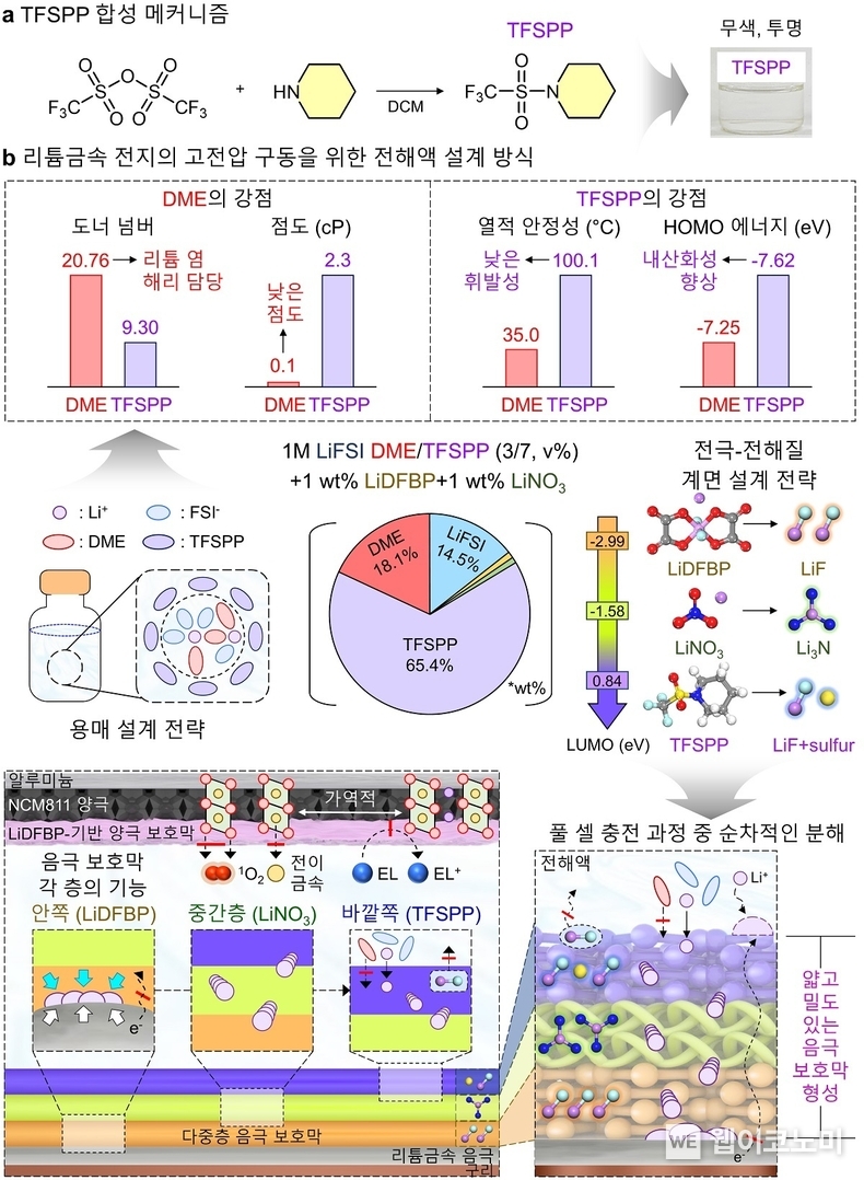  리튬금속전지의 고전압 구동을 위한 전해액 설계 방식 제안 / 2024.03.19 (출처: KAIST)
