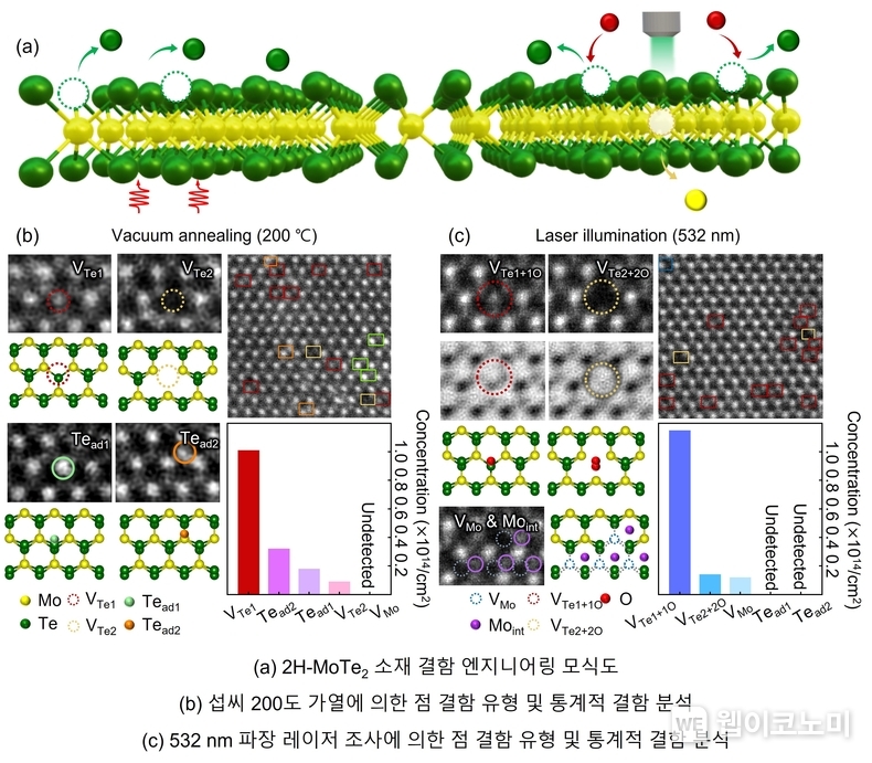 연구이미지 / 2024.03.29 (출처: POSTECH)