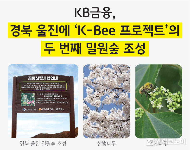 KB금융, 식목일을 맞아 경북 울진에 'K-Bee 프로젝트'의 두 번째 밀원숲 조성 / 2024.04.05 (출처: KB금융그룹)