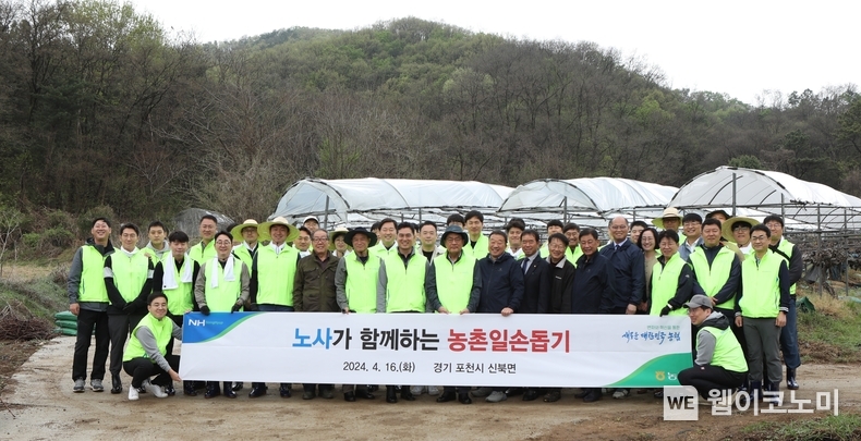 농협중앙회 지준섭 부회장(앞줄 왼쪽에서 9번째, 모자착용)과 NH농협지부 우진하 위원장(앞줄 왼쪽에서 8번째) 등 임직원들이 16일 경기도 포천시 소재 포도 농가를 찾아 일손돕기 활동을 진행한 뒤 기념촬영을 실시하고 있다. / 2024.04.17 (출처: 농협)