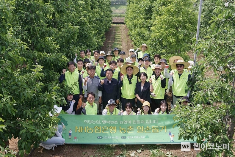 10일 농협은행 임직원들이 사과 재배농가를 찾아 일손돕기에 나섰다. 이석용 은행장(둘째줄 가운데)과 임직원 봉사단원들이 기념촬영을 하고 있다. / 2024.05.12 (출처: NH농협은행) 