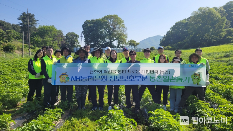 신형춘 부행장(앞줄 왼쪽에서 5번째)과 정보보호부문 임직원 일동이 경기도 의왕시 소재 농가를 방문해 일손돕기를 실시하며 기념촬영을 하고 있다. / 2024.05.14 (출처: NH농협은행)