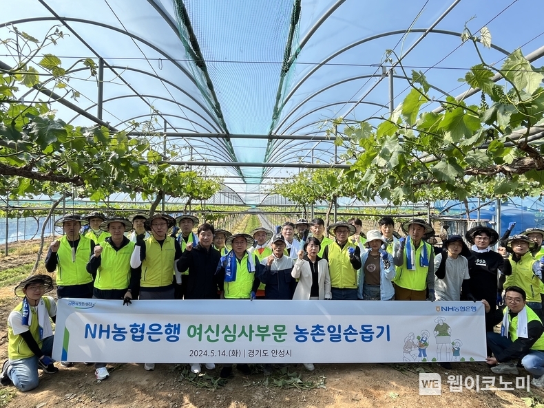 NH농협은행 여신심사부문 김길수 부행장과 임직원들이 일손돕기에 앞서 기념사진 촬영을 하고 있다. / 2024.05.14 (출처: NH농협은행)