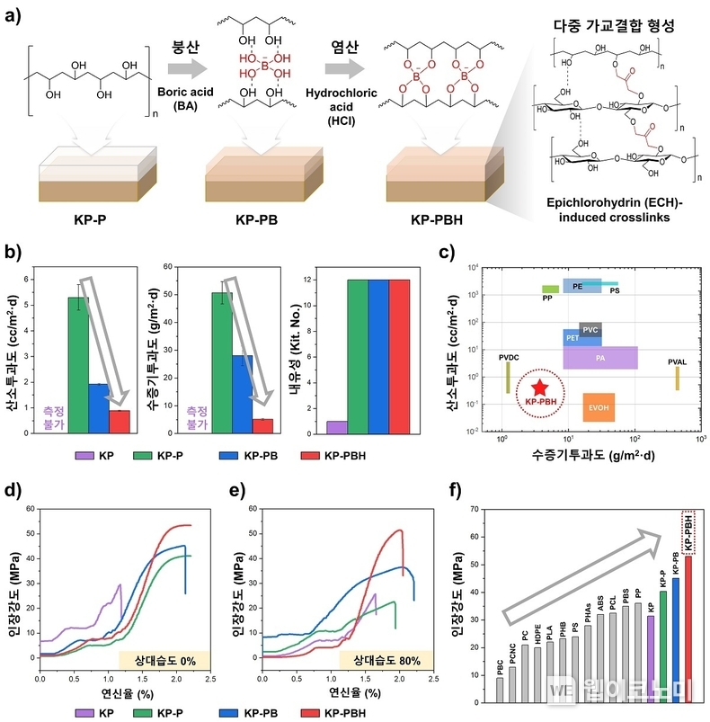 (a) 붕산가교 폴리비닐알코올 코팅 종이의 화학적 구조, (b-c) 산소 및 수증기 차단성 및 비교 그래프, (d-f) 건조 및 고습도 환경에서의 인장강도 및 비교 그래프 / 2024.05.17 (출처: KAIST)