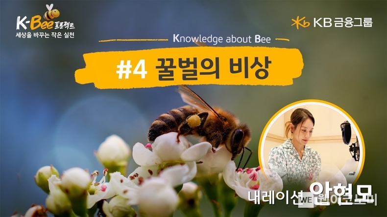 KB금융, 세계 벌의 날 맞아 K-BEE 프로젝트 영상 캠페인 4탄 ‘꿀벌의 비상’ 편 공개 / 2024.05.20 (출처: KB금융그룹)