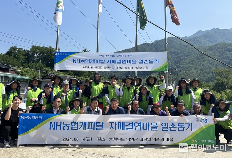 NH농협캐피탈(대표이사 서옥원) 임직원은 지난 14일,「범농협 한마음 농촌일손 지원의 날」을 맞이해 자매결연마을인 충북 단양군 대강면 덕촌리 마을을 찾아 농촌일손 돕기를 실시했다. / 2024.06.16 (출처: NH농협캐피탈)