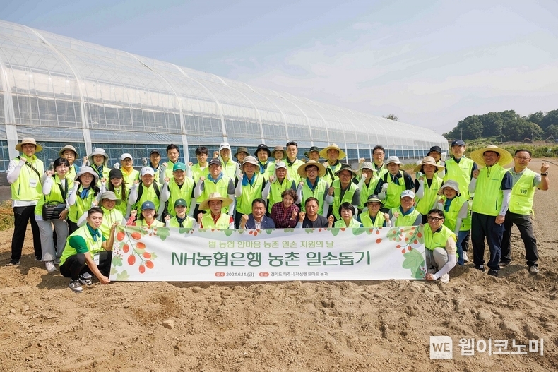 이석용 농협은행장(첫째줄 왼쪽에서 네 번째)과 이갑영 북파주농협 조합장(첫째줄 왼쪽에서 다섯 번째) 및 농협은행 임직원들이 14일 경기도 파주 토마토 농가<br>
에서 진행한 일손돕기에 참여해 기념촬영을 하고 있다. / 2024.06.17 (출처: NH농협은행)