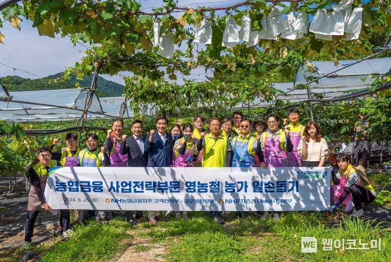 NH농협금융 사업전략부문 및 NH투자증권 글로벌사업본부 임직원들은 25일, 경기도 남양주 화도읍 소재 농가에서 일손돕기를 실시했다.이기현 NH농협금융 사업전략부문 부사장(앞줄 오른쪽에서 네 번째), 김홍욱 NH투자증권 글로벌사업본부 본부장(앞줄 오른쪽에서 세 번째), 김재헌 NH농협은행 남양주시부장(앞줄 오른쪽에서 일곱 번째), 최상복 화도농협 조합장(앞줄 오른쪽에서 여섯 번째) 및 소관 임직원들이 기념촬영을 하고 있다. / 2024.06.28 (출처: 농협금융지주)