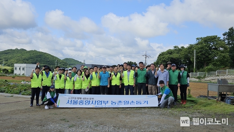 5일 경기도 파주시 탄현면 소재 농가에서 조원민 서서울농협조합장(첫째줄 오른쪽에서 일곱 번째)과 진용식 서울중앙사업부 본부장(첫째줄 오른쪽에서 다섯 번째)을 비롯한 관내 사무소장들이 일손돕기를 진행했다. / 2024.07.05 (출처: NH농협은행)