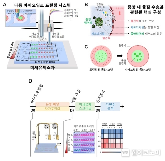 다양한 실험조건을 하나의 체외 세포배양 플랫폼에 구현하기 위한 바이오프린팅-랩온어칩 통합 기술과 이를 활용한 “랩온어칩 종양 모델”에서의 항암제 효능 평가 기술의 개략도 / 2024.07.16 (출처: KAIST)