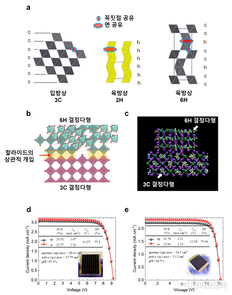3C6H 이종결정다형체와 이를 적용한 페로브스카이트 태양전지 / 2024.07.18 (출처: GIST)