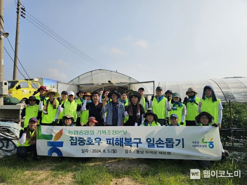 정용왕 농협중앙회 기획조정본부장, 조남엽 세도농협 조합장, 백남성 농협중앙회 충남세종본부장과 직원들이 5일 충남 부여에 있는 농가에서 집중호우 피해복구 일손돕기를 실시했다. / 2024.08.05 (출처: 농협중앙회)