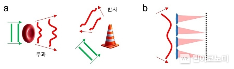 a. 물체에 의한 파면 변화. 빛이 물체를 투과하거나 반사될 때, 빛의 파면이 변화된다. b. 샥-하트만 파면센서에서 렌즈 배열의 작동 원리. 각 렌즈에 입사하는 파면의 경사도에 따라 초점의 위치가 달라진다. / 2024.08.20 (출처: KAIST)