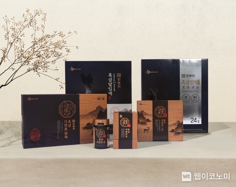 CJ웰케어 추석 선물세트 연출 이미지 / 2024.09.03 (출처: CJ웰케어)