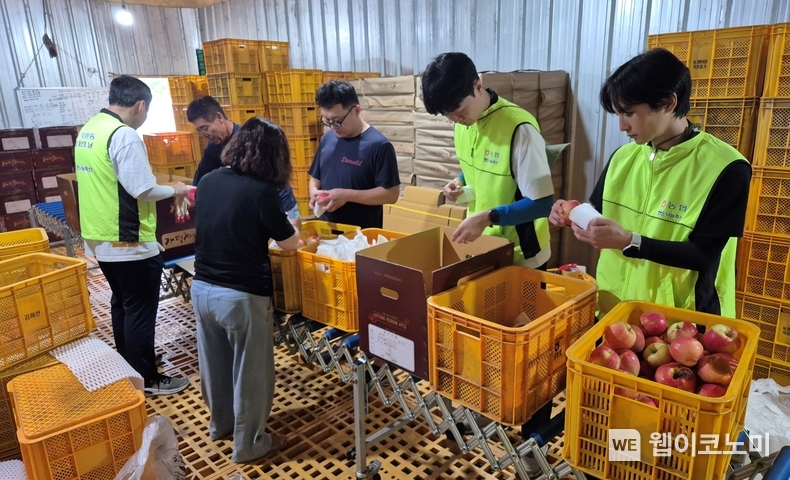 9일 경기도 가평군 소재 사과 농가에서 농협경제지주 친환경컨설팅방역부 직원들이 사과 포장 작업을 하고 있다. / 2024.09.10 (출처: 농협경제지주)