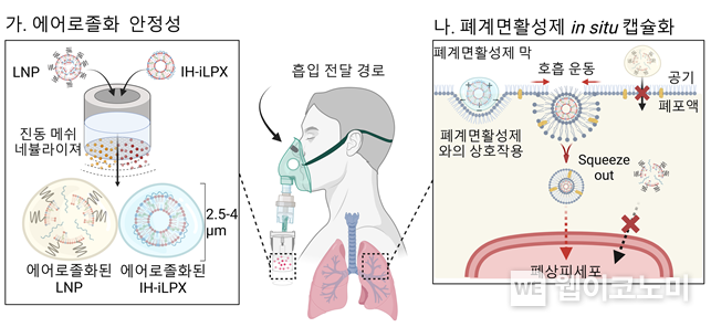 흡입 최적화 지질 나노 복합체의 mRNA 흡입 전달 전략 모식도 / 2024.10.07 (출처: KAIST)