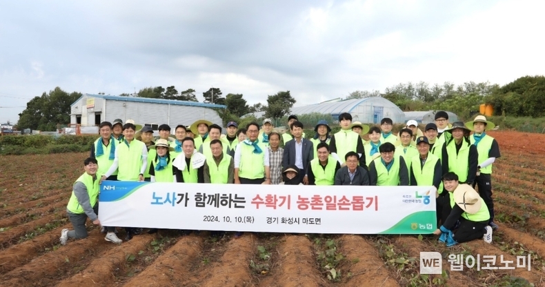 농협중앙회 지준섭 부회장(앞줄 왼쪽에서 0번째), NH농협지부 우진하 위원장(앞줄 왼쪽에서 0번째), NH농협중앙회지부노동조합 김동혁 위원장(앞줄 왼쪽에서 0번째) 등 농협 임직원들이 10일 경기도 화성시 소재 고구마 농가를 찾아 일손돕기 활동을 진행한 뒤 기념촬영을 실시하고 있다. / 2024.10.11 (출처: 농협)