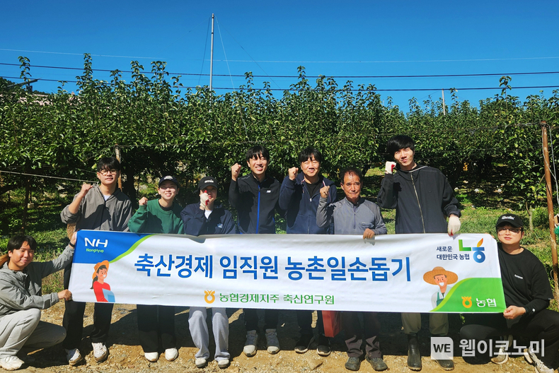 농협경제지주 축산연구원, 농번기 일손 돕기 동참 / 2024.10.11 (출처: 농협)
