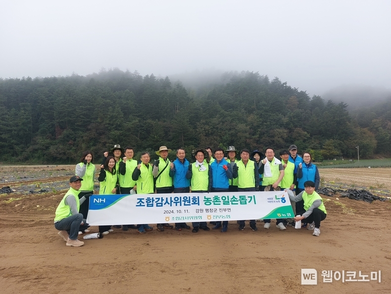 농협중앙회 조합감사위원회가 11일 강원 평창군 진부면에서 농촌일손돕기를 실시했다. / 2024.10.13 (출처: 농협중앙회)