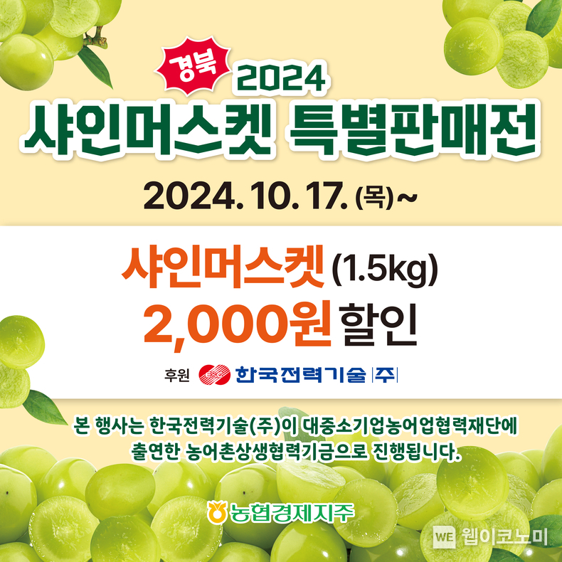 예수급부 농협, 포도 소비촉진 상생 할인행사 실시 / 2024.10.18 (출처: 농협)
