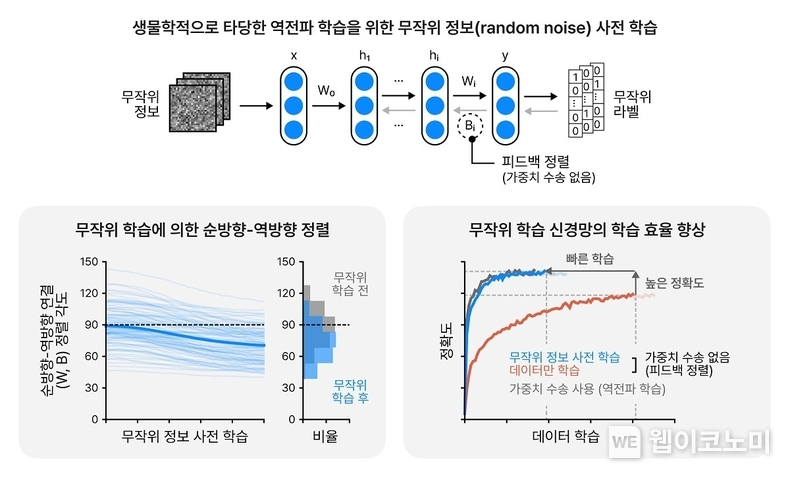 무작위 정보 훈련의 메타 학습 효과를 묘사하는 그림 / 2024.10.23 (출처: KAIST)