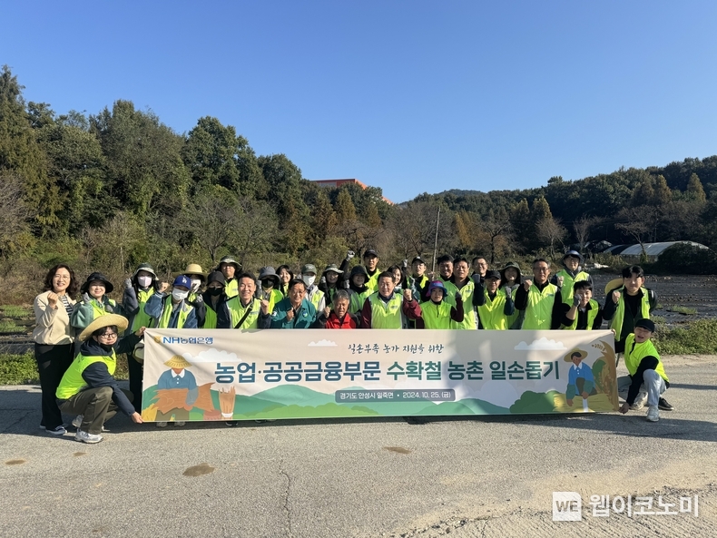 25일 농협은행 농업·공공금융부문 임직원들이 경기도 안성시 농가를 방문하여 일손돕기 후 기념촬영을 하고 있다. / 2024.10.27 (출처: NH농협은행)