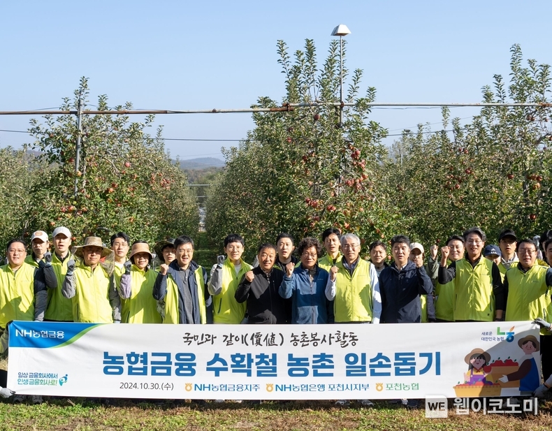 NH농협금융은 30일, 경기도 포천시 신북면 사과농가에서 수확철 농촌 일손돕기를 실시했다. 이석준 NH농협금융지주회장(앞줄 오른쪽에서 네 번째), 김광열 포천농협 조합장(앞줄 오른쪽에서 여섯 번째), 이덕주 NH농협은행 포천시지부장(앞줄 오른쪽에서 세 번째)과 임직원들이 기념촬영을 하고 있다. / 2024.10.30 (출처: NH농협금융)