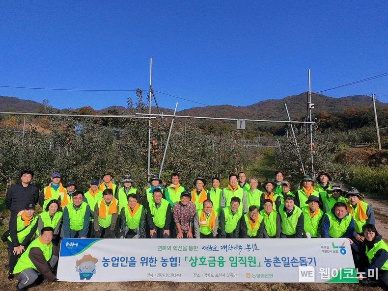 여영현 상호금융대표이사(앞줄 왼쪽 여덟번째)와 임직원들이 30일 경기 포천시 일동면 소재 사과 농가를 방문해 농촌일손돕기를 실시하며 기념촬영했다. / 2024.10.30 (출처: 농협)
