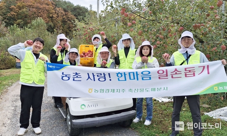 10월 29일 경기 포천시 사과 농가를 찾은 농협경제지주 축산물도매분사 직원들이 일손 돕기 후 기념촬영을 하고 있다. / 2024.11.01 (출처: 농협경제지주)