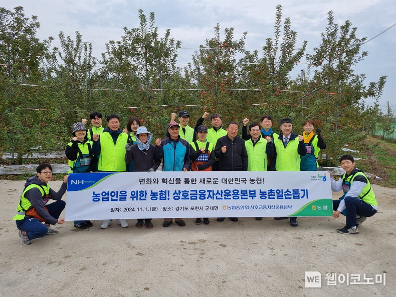 농협 박정균 상호금융자산운용본부장(앞줄 왼쪽 일곱번째), 김광열 포천농협 조합장(앞줄 왼쪽 여섯번째)과 임직원들이 1일 경기 포천시 군내면 소재 사과 농가를 방문해 농촌일손돕기를 실시하며 기념촬영을 했다. / 2024.11.01 (출처: 농협중앙회)