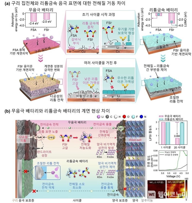 (상단; a) 구리 집전체와 리튬금속 음극 표면에 대한 전해질 거동 차이, (하단; b) 무음극 배터리와 리튬금속배터리의 작동 메커니즘 / 2024.11.05 (출처: KAIST)