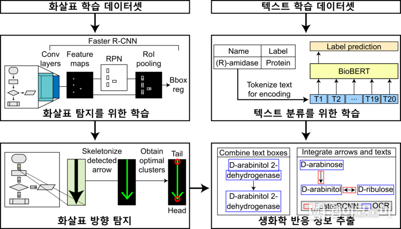 바이오 경로 이미지에서 생화학 반응 정보를 자동으로 추출하는 EBPI의 모식도 / 2024.11.28 (출처: KAIST)