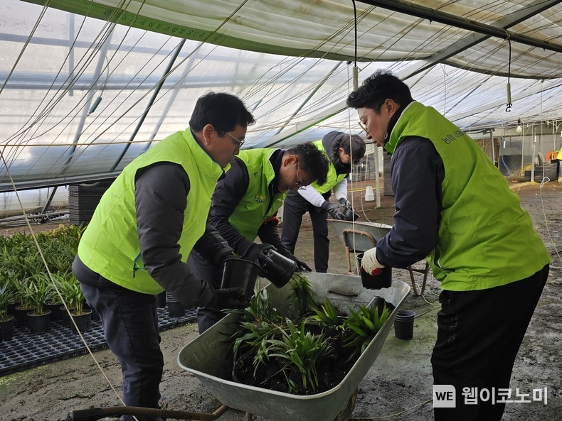 9일 농협중앙회 교육지원부문 및 충북본부 임직원들이 충북 음성군 농가를 찾아 폭설 피해복구 작업을 하고 있다. / 2024.12.09 (출처: 농협중앙회)