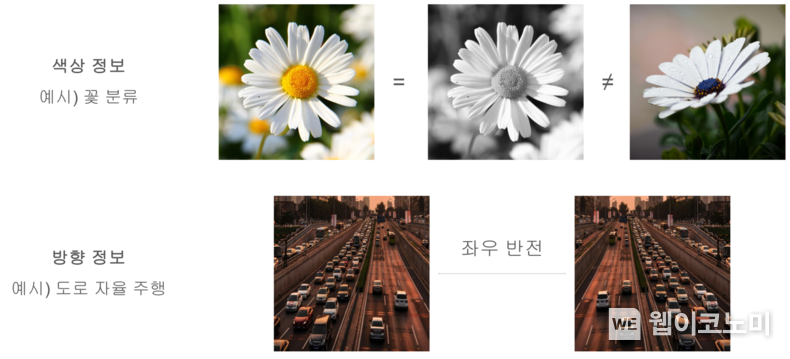 기존 데이터 증강이 변환 민감 정보를 포함하는 특정 태스크에 미치는 악영향. 색상, 방향 등이 중요한 결정 요소일 때, 기존 데이터 증강을 수행하면 해당 정보를 잃게 됨. / 2024.12.13 (출처: KAIST,)