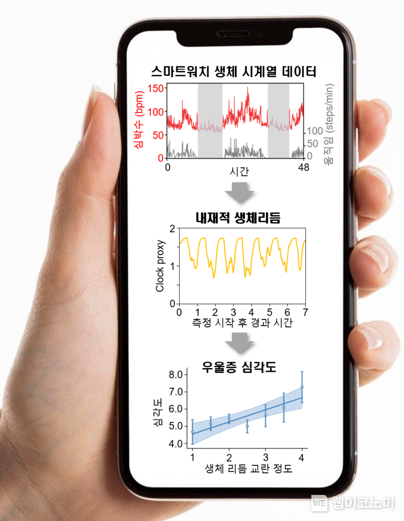 연구 결과 모식도 / 2025.01.15 (출처: KAIST)