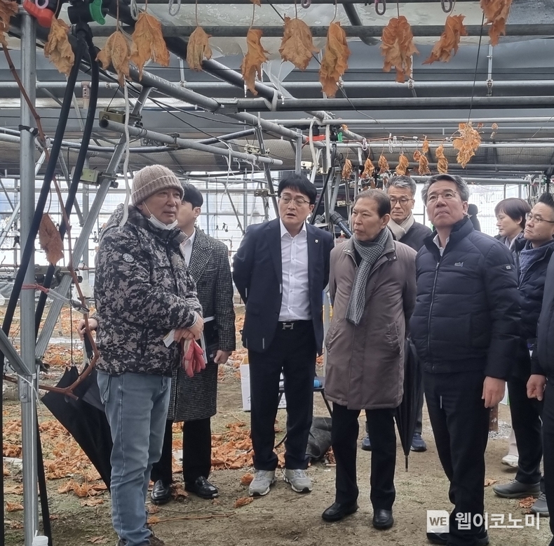 박서홍 농협경제지주 농업경제대표이사(오른쪽 첫번째)가 김문종 진안농협 조합장(두번째), 신인성 전북인삼농협조합장(세번째) 등 관내 조합장들과 함께 12일 전북 진안군 소재 포도농가를 방문하여 대설 피해 현장을 점검하고 있다. / 2025.02.12 (출처: 농협경제지주)
