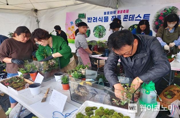 대구화훼 이미지