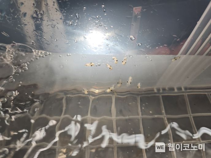 바다연구소 이미지