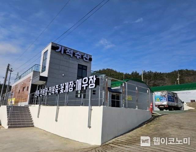 기적수산 이미지