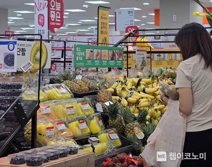 과일101 이미지