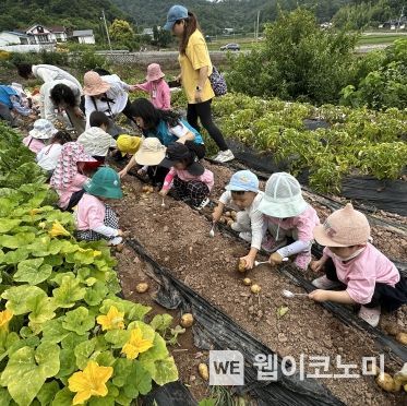 푸르미사업단 이미지